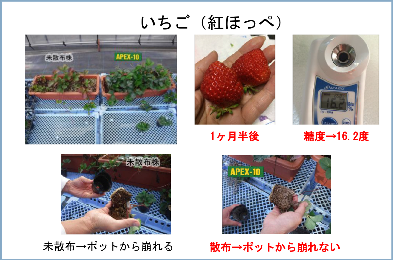 Apex 10 ハウステンボス 技術センター株式会社 Apex 10 ハウステンボス 技術センター株式会社